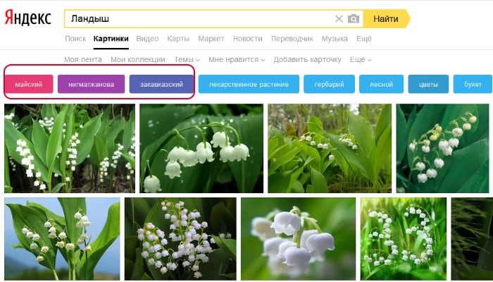 Filtros para pesquisa de imagens Yandex