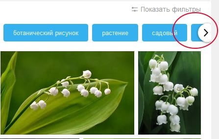 Seta para exibir outros filtros no Yandex