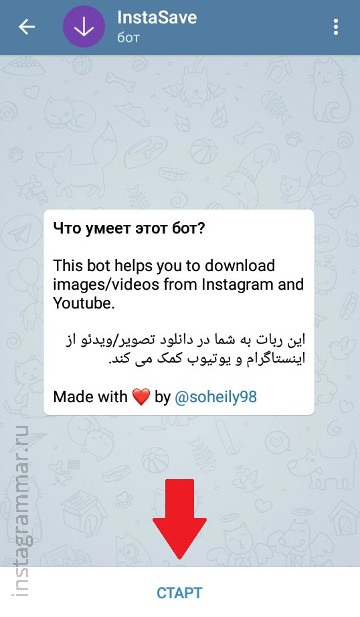 Visualizando histórias do Instagram anonimamente - Telegram bot