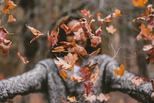 ideias de fotos de outono para instagram - uma garota joga folhas na floresta