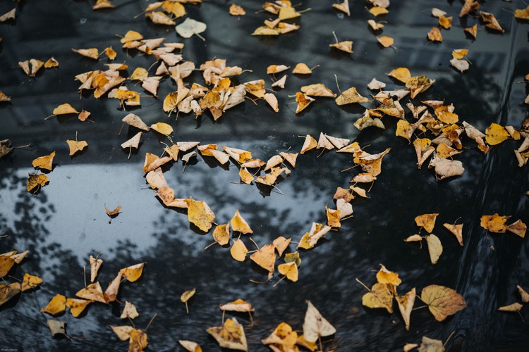 Ideias para fotos de outono no Instagram - um coração de folhas