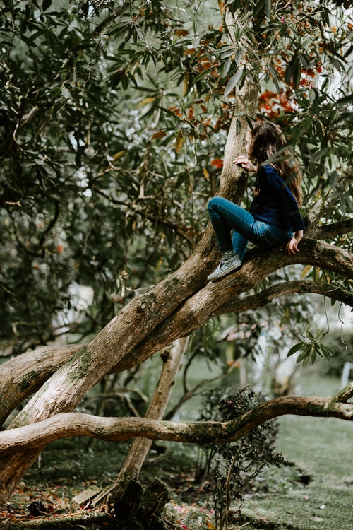 ideias de fotos de outono para instagram - uma garota em uma árvore