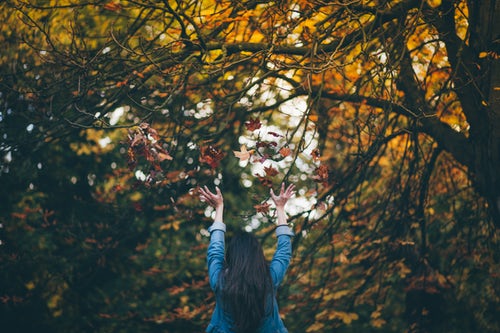 ideias de fotos de outono para instagram - lança folhas na floresta