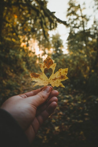 ideias de fotos de outono para o folheto do instagram com um coração