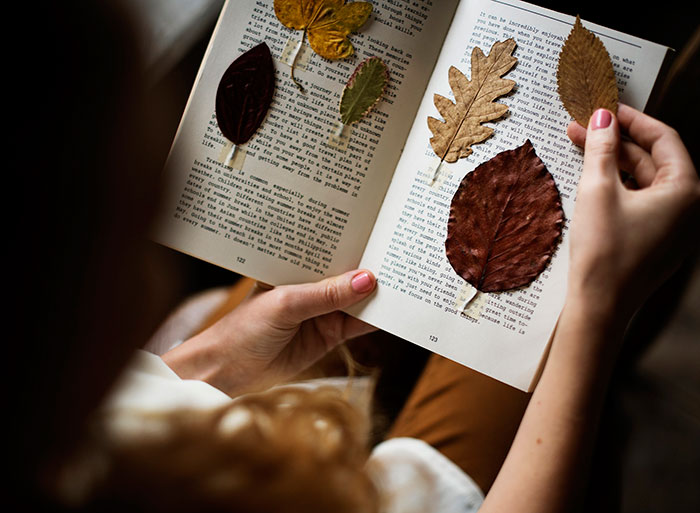 Ideias de fotos de outono para Instagram - folhas secas em um livro