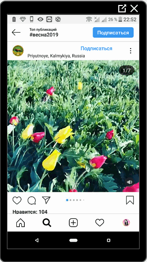 Vídeo no Instagram sobre a primavera
